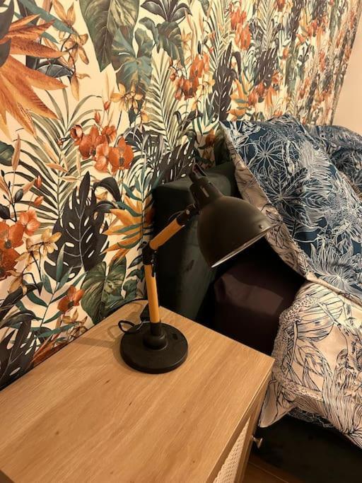 Appartamento Le Floral Carcassonne Esterno foto